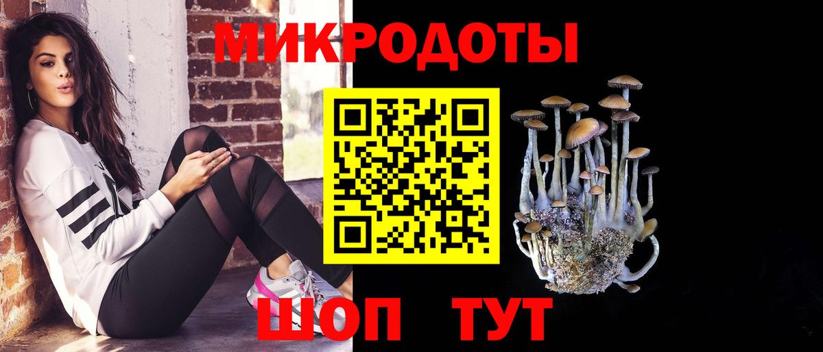 Псилоцибиновые грибы Psilocybine cubensis Люберцы